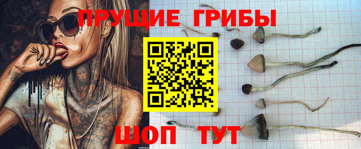 Джанкой  Галлюциногенные грибы Magic Shrooms  Галлюциногенные грибы GOLDEN TEACHER  Вход с VPN 