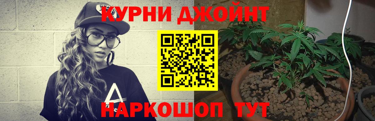 Шишки марихуана Bruce Banner  Марихуана Amnesia  Шишки марихуана OG Kush  Джанкой  Вход с VPN  Шишки марихуана SATIVA & INDICA 